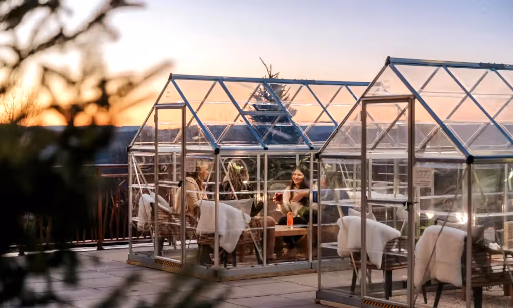Group of women dining in a glass house with a winter sunset view.
