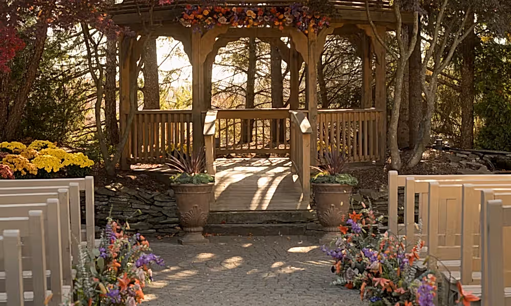 Black Bear wedding ceremony. 
