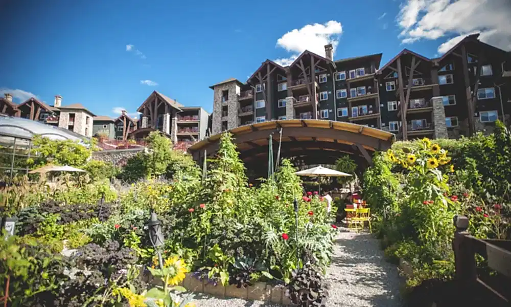 Chef's Garden behind Grand Cascades Lodge.