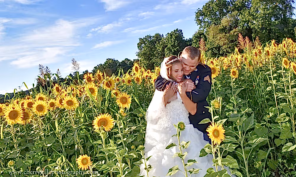 Bride and groom in the sunflower fields