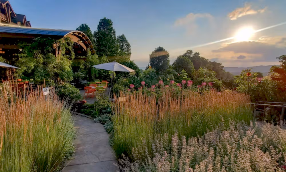 Beautiful View of the Chef's Garden