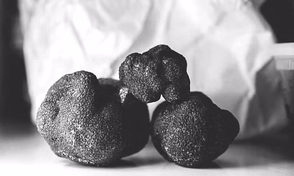 Large black truffles
