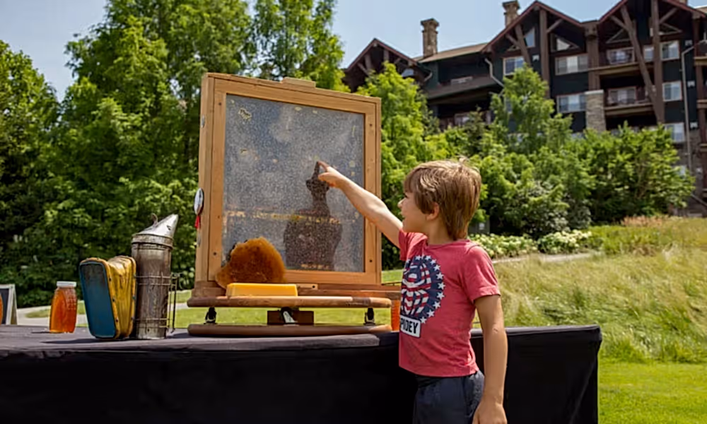 Young child pointing at beehive.