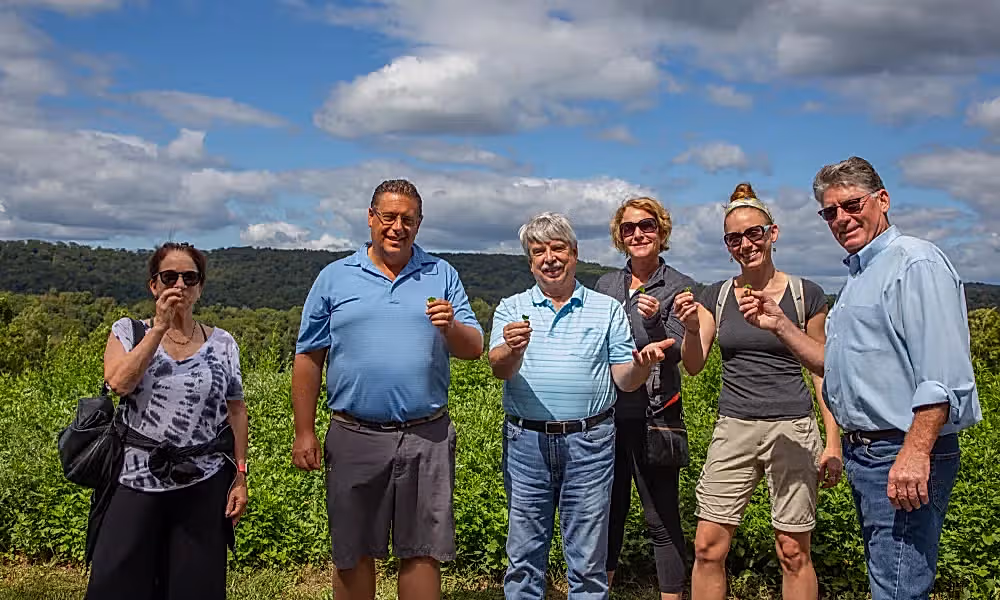 Hiking group working with herbalist