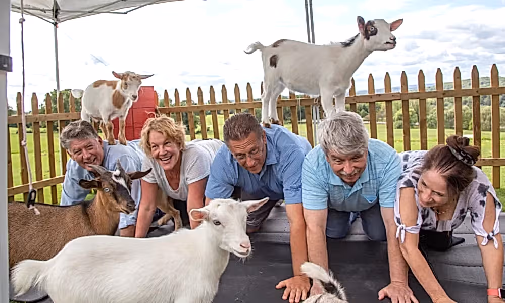 Group of adults participating in goat yoga at Crystal Springs Resort