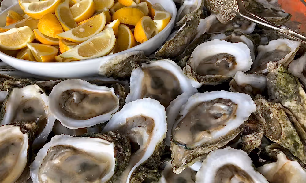 Catered Oysters