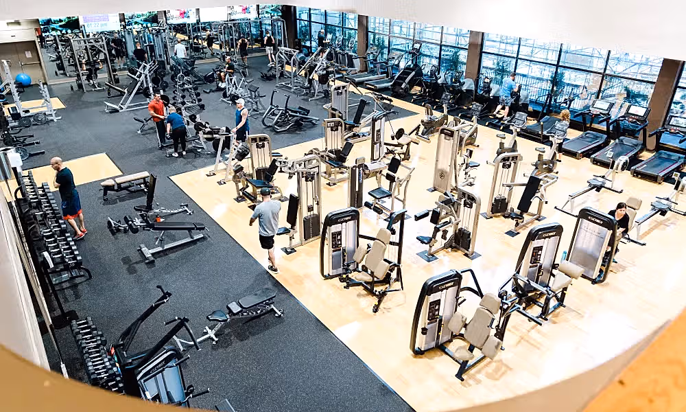 MSC Gym floor with an array of equipment.