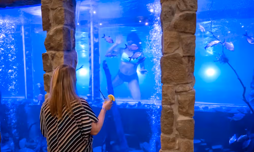Child waving through underwater window that looks into Minerals Pool Bar