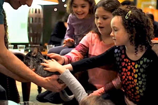 Children petting a chinchilla. 