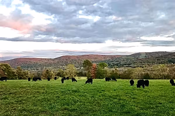 Teambuilding activity at Vernon Valley Farm