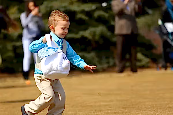 Young boy doing an easter egg hunt.