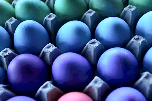 Colorful dyed eggs.
