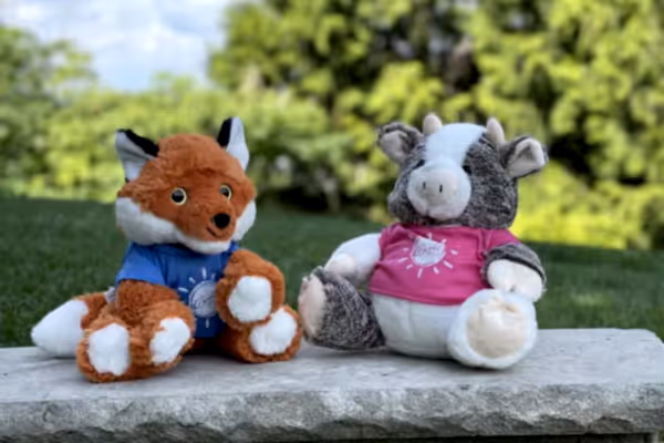 Two stuffed animals. 