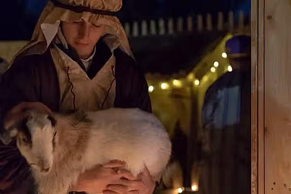 Live nativity scene of boy holding baby goat.