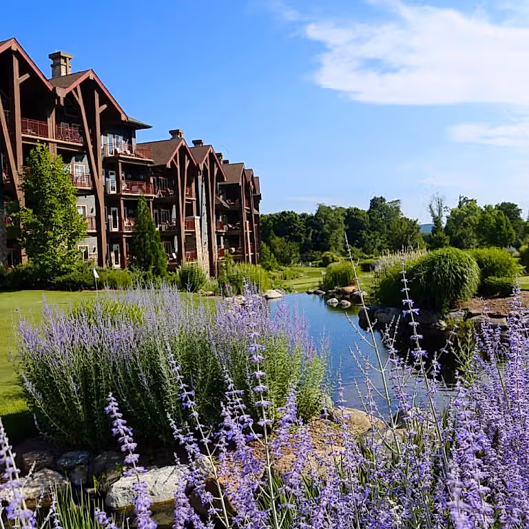 17 BEST NEW JERSEY STAYCATIONS TO BOOK IN 2025 - New Jersey Digest
