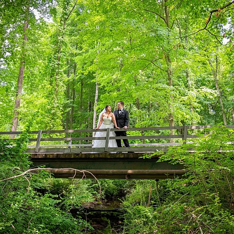 Bride and Groom on bridge amongst the trees.