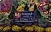 Minerals Resort & Spa Sign