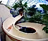 Young boy riding down water slide at Biosphere Pool