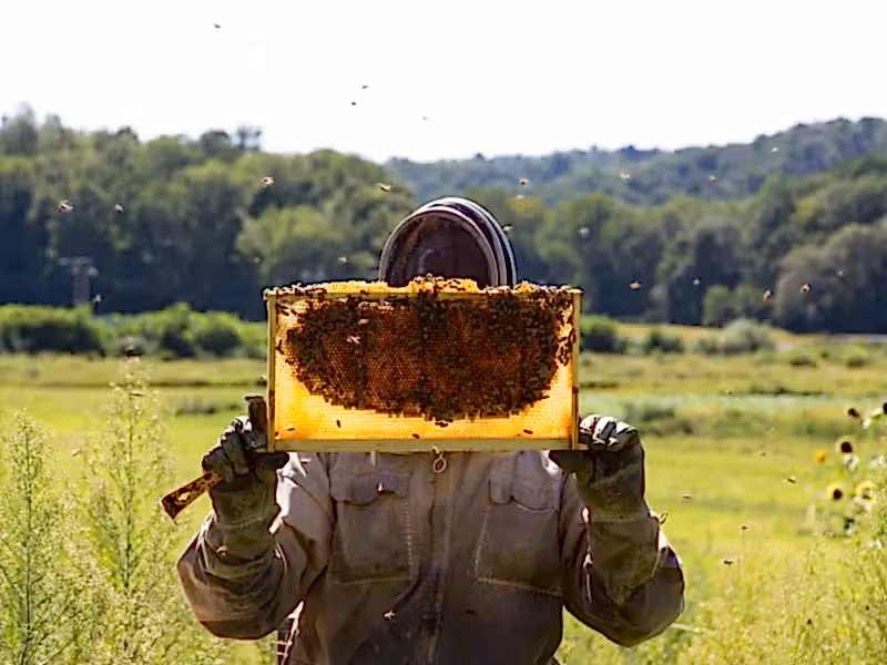 Beekeeper at Crystal Springs Resort