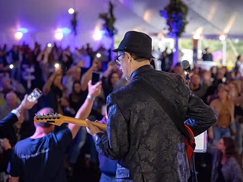 Guitarist with crowd.