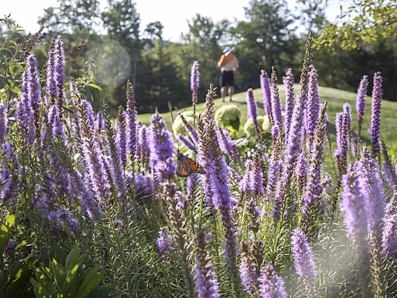 Flowers on a golf course at a resort near NYC