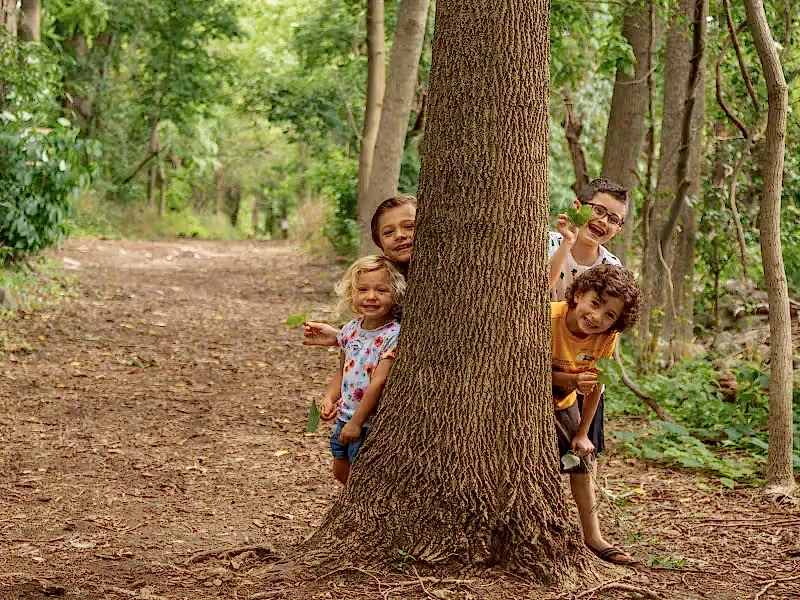 Four children peeking out from behind large tree.